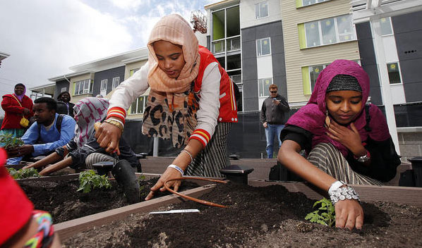 2014 in Review: Refugee Apartment Gardens in SLC